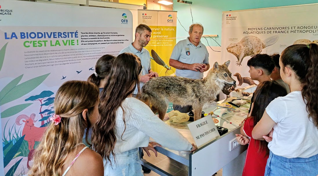 Atelier OFB lors de la journée de la biodiversité au collège de La Bâtie Neuve le 29 mai 2026