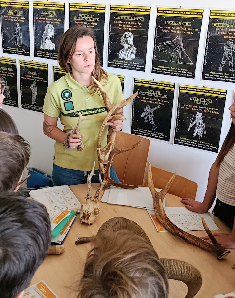 Atelier ONF lors de la journée de la biodiversité au collège de La Bâtie Neuve le 29 mai 2026