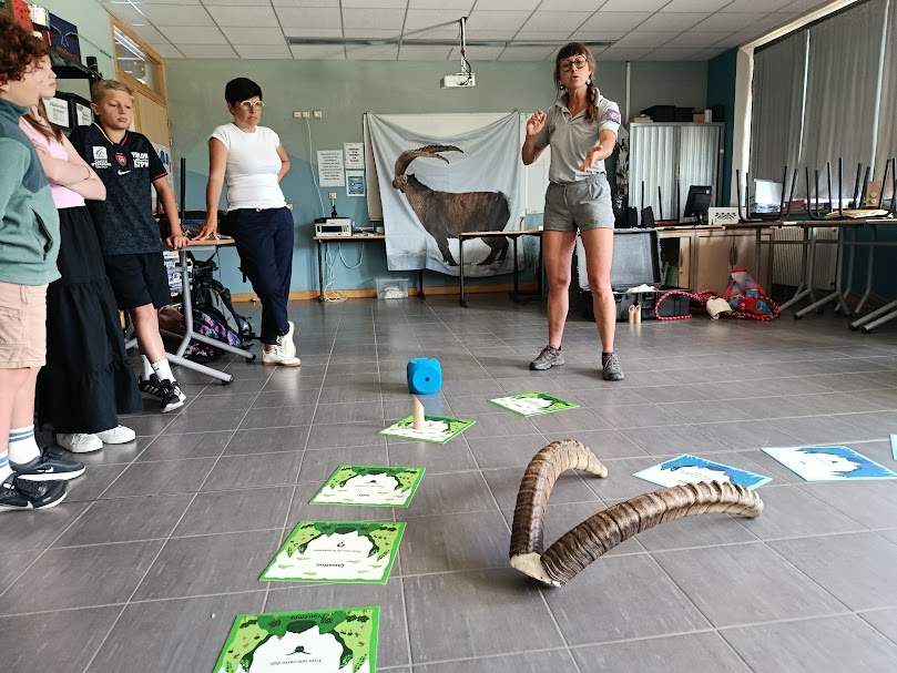 Atelier Parc National des écrins lors de la journée de la biodiversité au collège de La Bâtie Neuve le 29 mai 2026