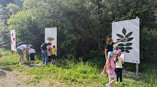 Photo expo papillons