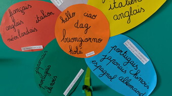 Remise des prix Semaine des Langues Vivantes Réalisation
