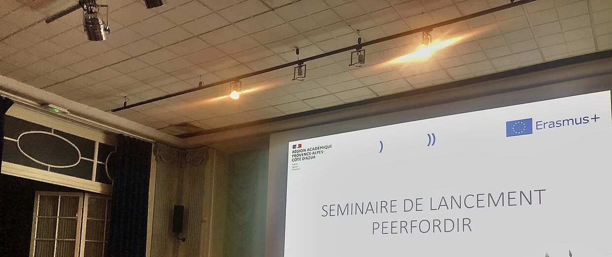 PeerforDir firts edition